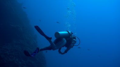 Alina Myers AOW PADI
