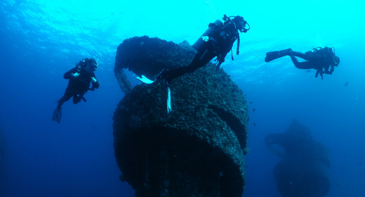 It’s a Wonder(ful) Reef