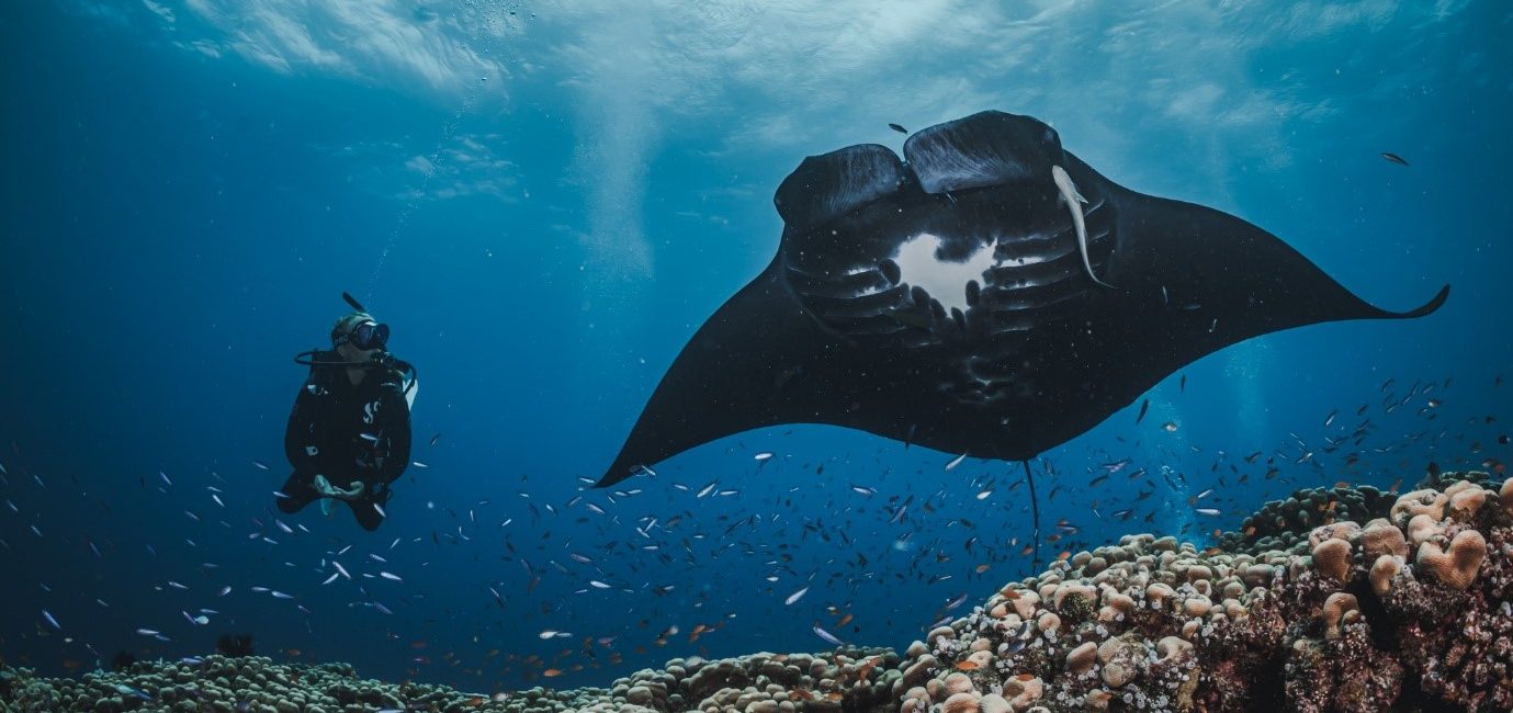 AWARE Week 2026: Create Change Above and Below the Surface 