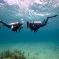 how to find new dive buddies