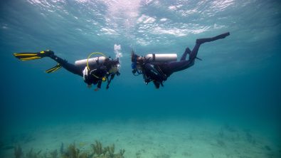 how to find new dive buddies