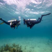 Scuba diving is better than your other hobbies
