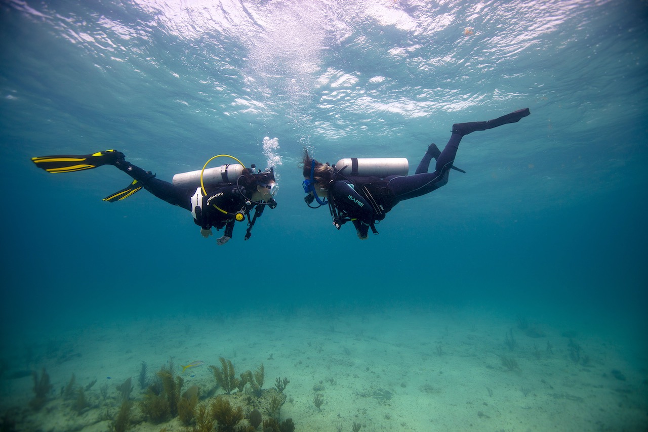 Scuba diving is better than your other hobbies