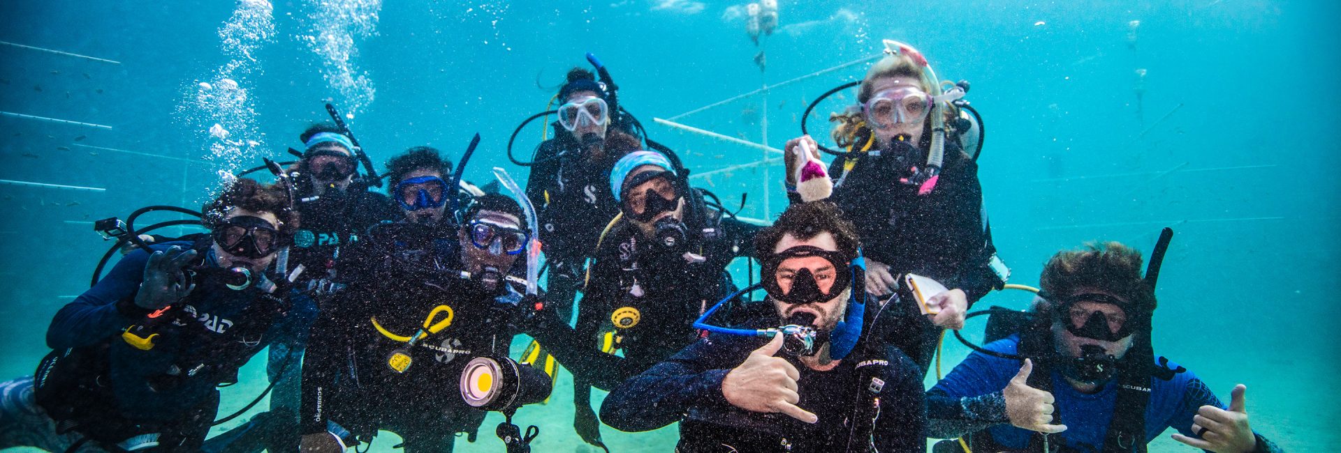 Diving Creates the Community We Need