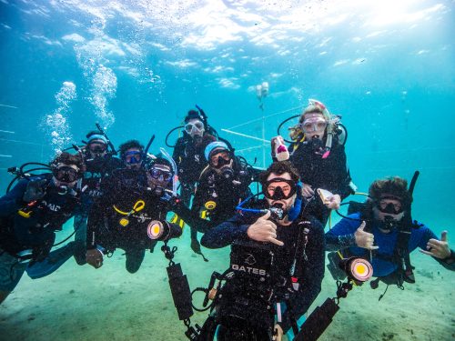 diving creates community
