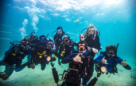 diving creates community