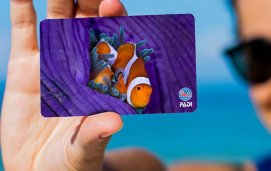 Clown fish certification card design