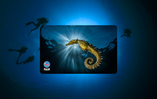 PADI eCard design, featuring a seahorse underwater