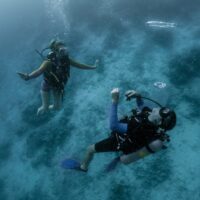 sophie morgan adaptive diver learn to dive in M