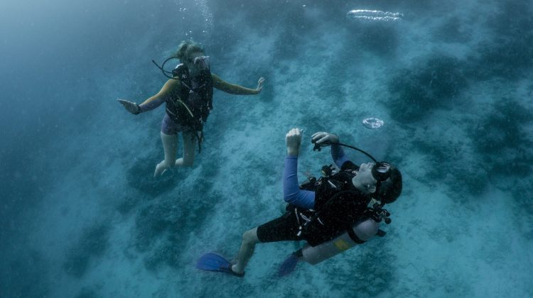 sophie morgan adaptive diver learn to dive in M