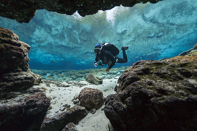 diver swimming into a covered area