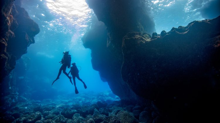 how to start scuba diving
