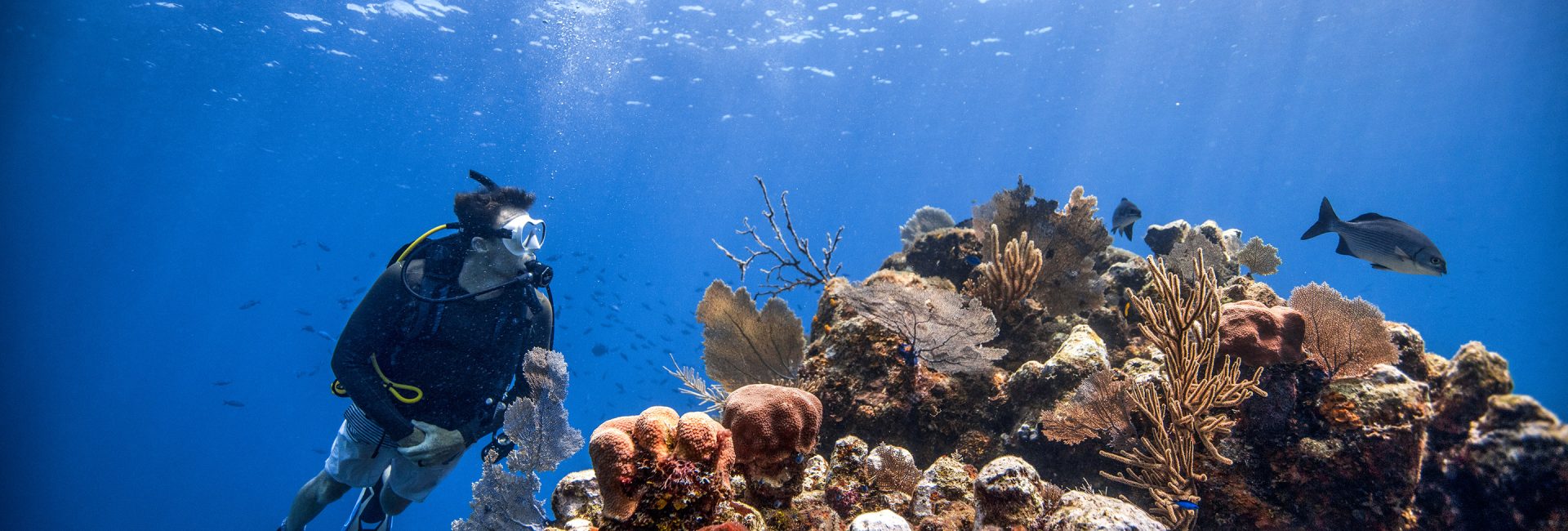 8 Reasons Scuba Diving is Better Than Your Other Hobbies
