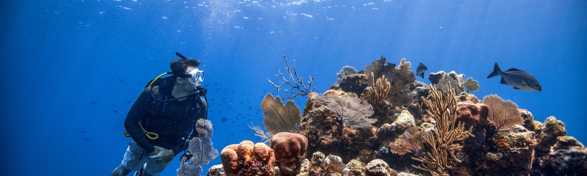 8 razones por las que el buceo es mejor que tus otros pasatiempos