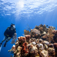 Scuba diving is better than your other hobbies