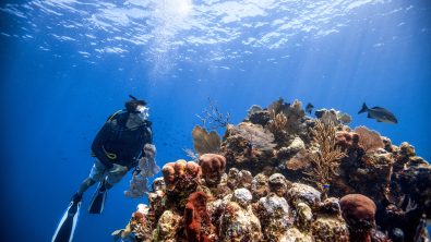 Scuba diving is better than your other hobbies