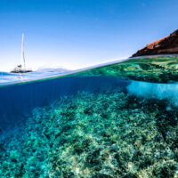 Hobbies Made Better by Scuba Diving