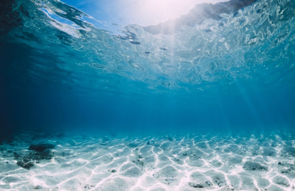 Water Facts: Fun and Fascinating Things You Should Know About H2O