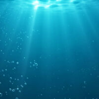 why diving should be considered a wellness activity