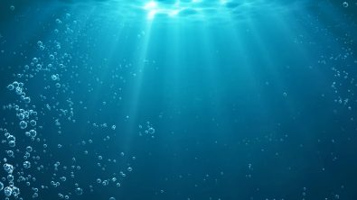 why diving should be considered a wellness activity