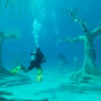 underwater art - cool things divers can do