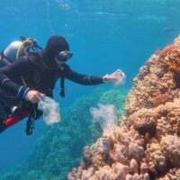 Scuba diver collecting marine debris underwater