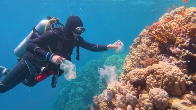 Scuba diver collecting marine debris underwater