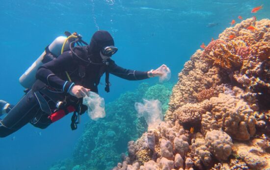 Scuba diver collecting marine debris underwater