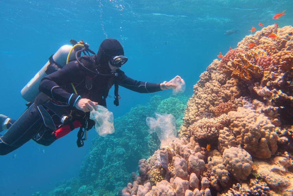 a diver picks up plastic off a coral reef.