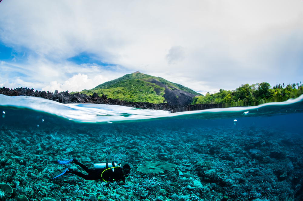 A scuba diver floats just under the surface and over a coral reef near gunung api in indonesia.