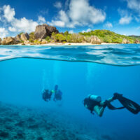 destinations for freedivers