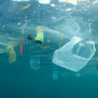 Plastic Free Boat Dives