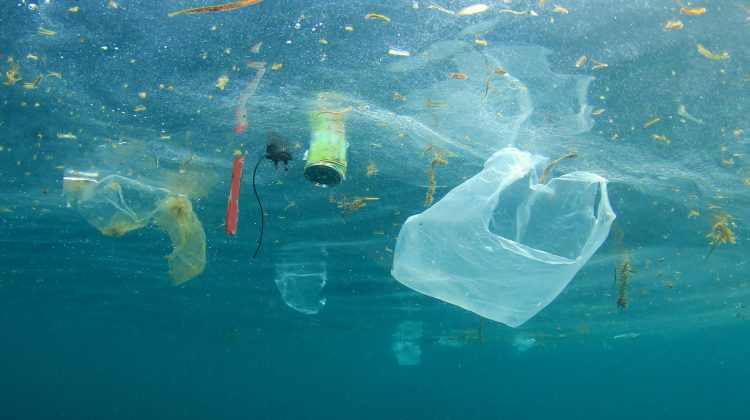 Plastic Free Boat Dives