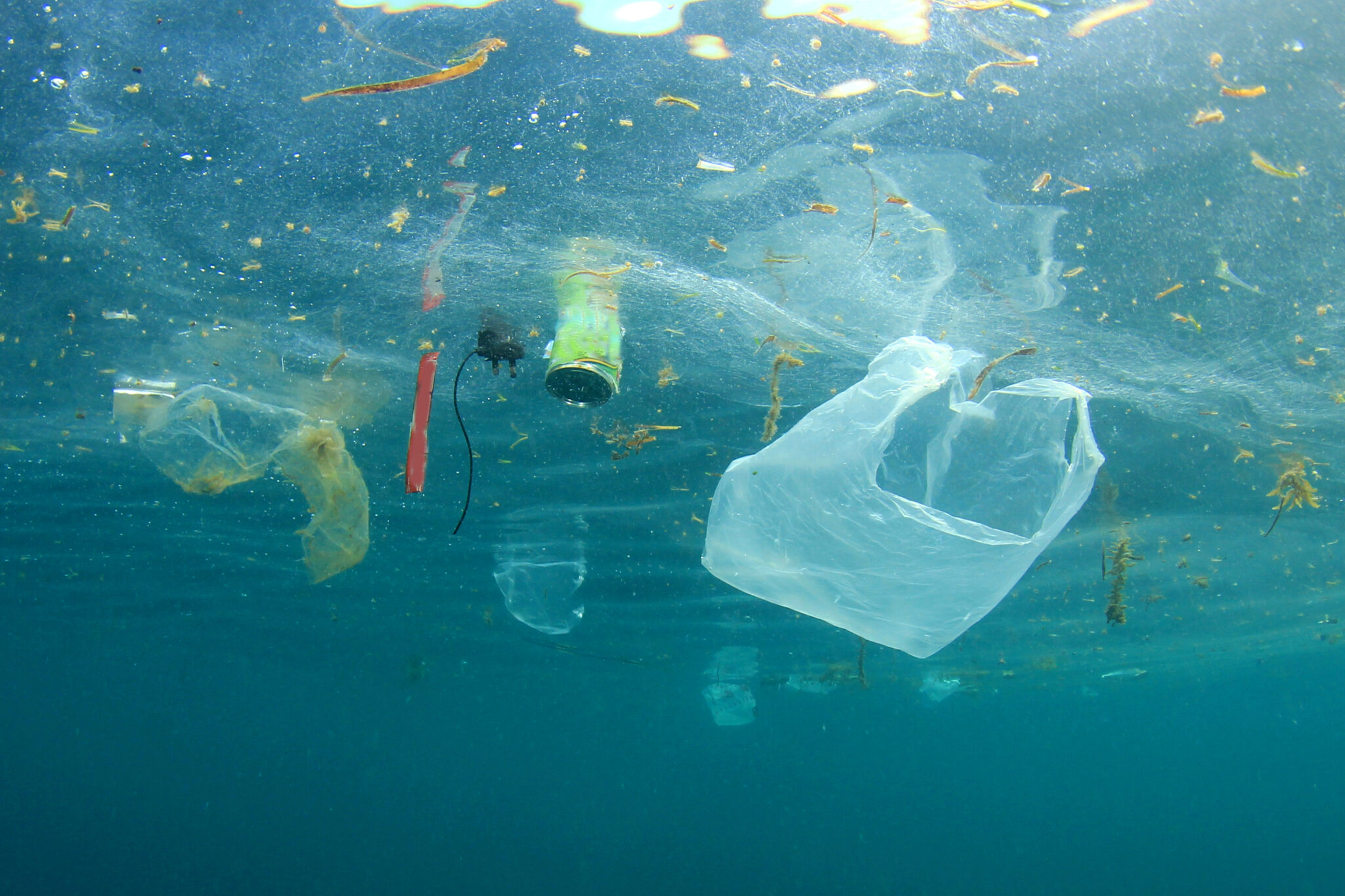 plastic debris floats in the ocean
