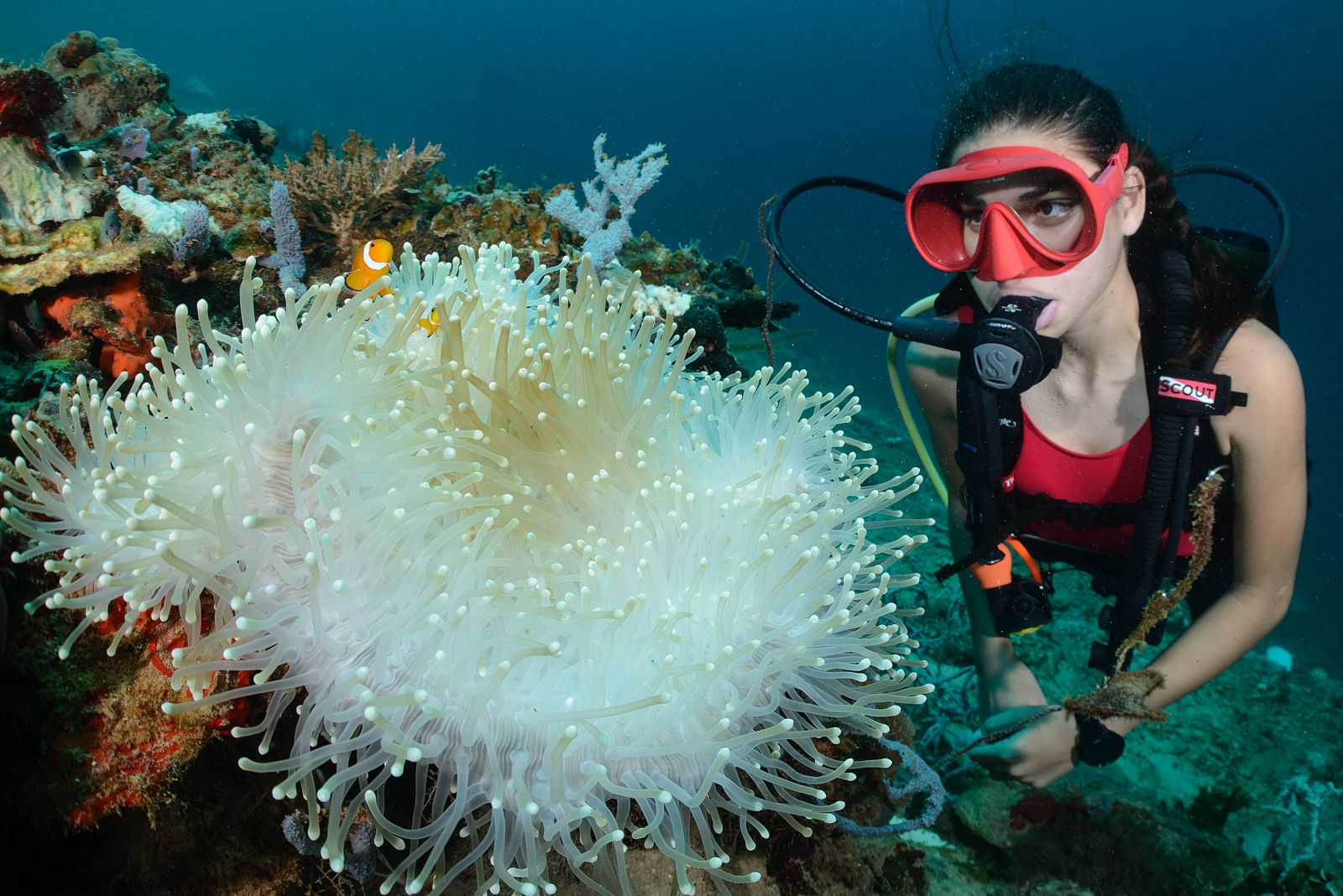 Julia Aveline Rabenjoro diving with coral
