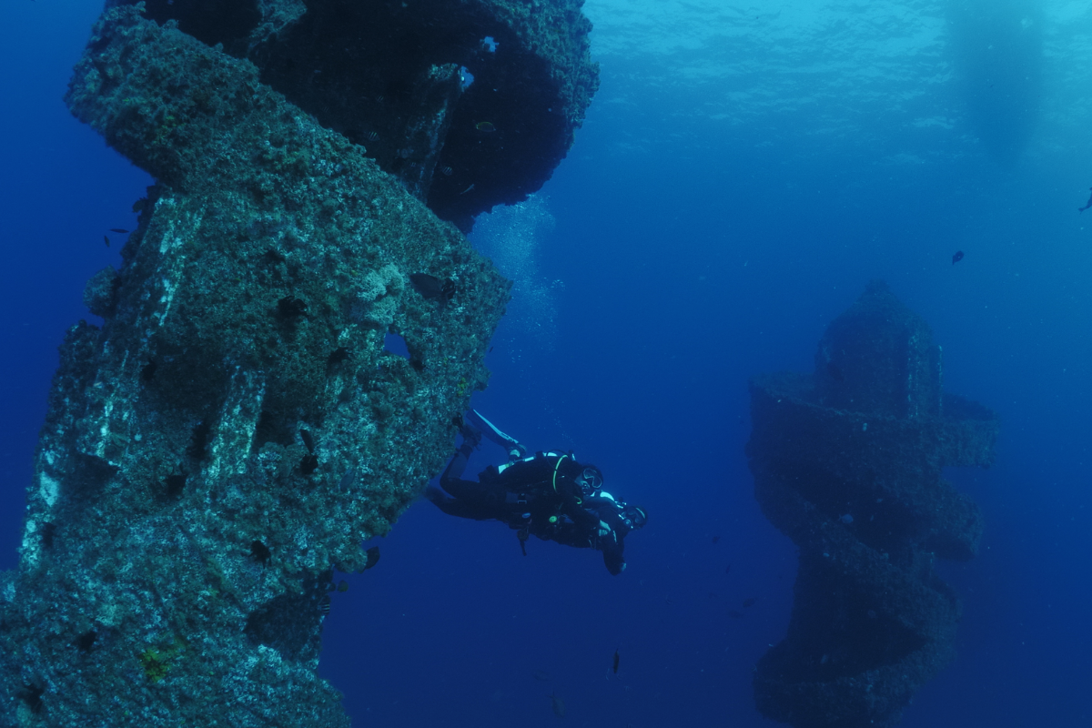 Having a Wonder-Filled Reef Time — Wish You Were Here!