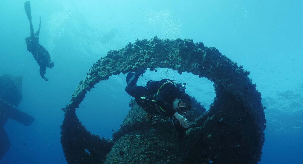 Having a Wonder-Filled Reef Time — Wish You Were Here!
