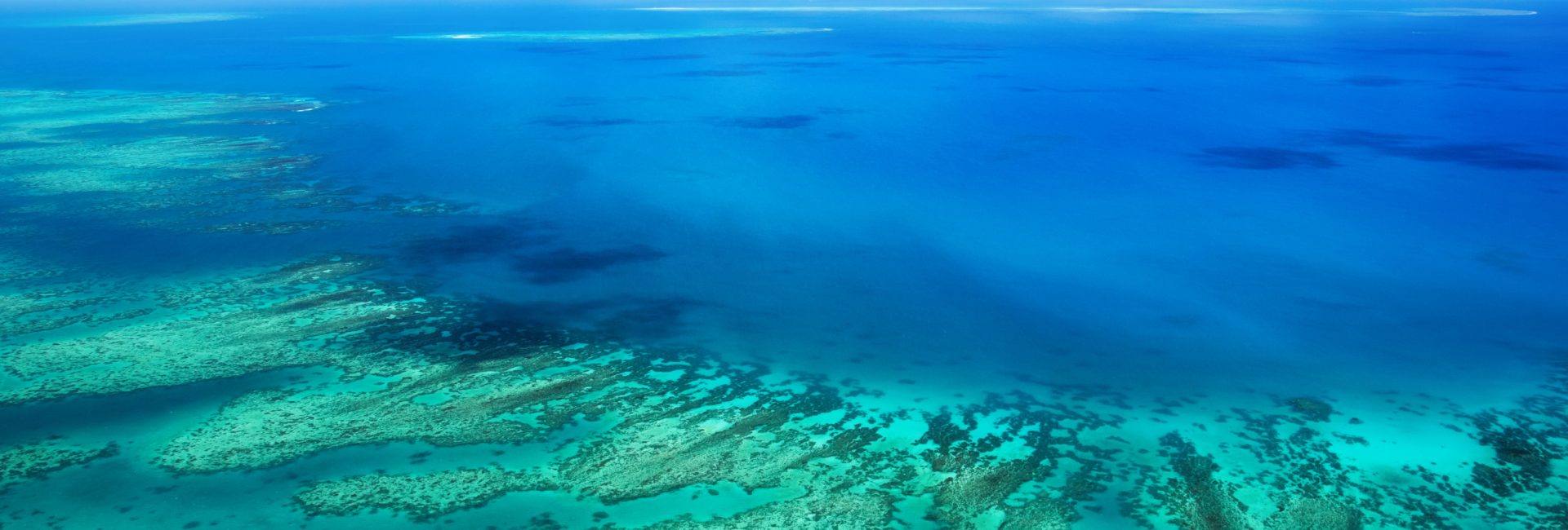 Les 8 meilleurs sites de plongée sur la Grande Barrière de corail en Australie