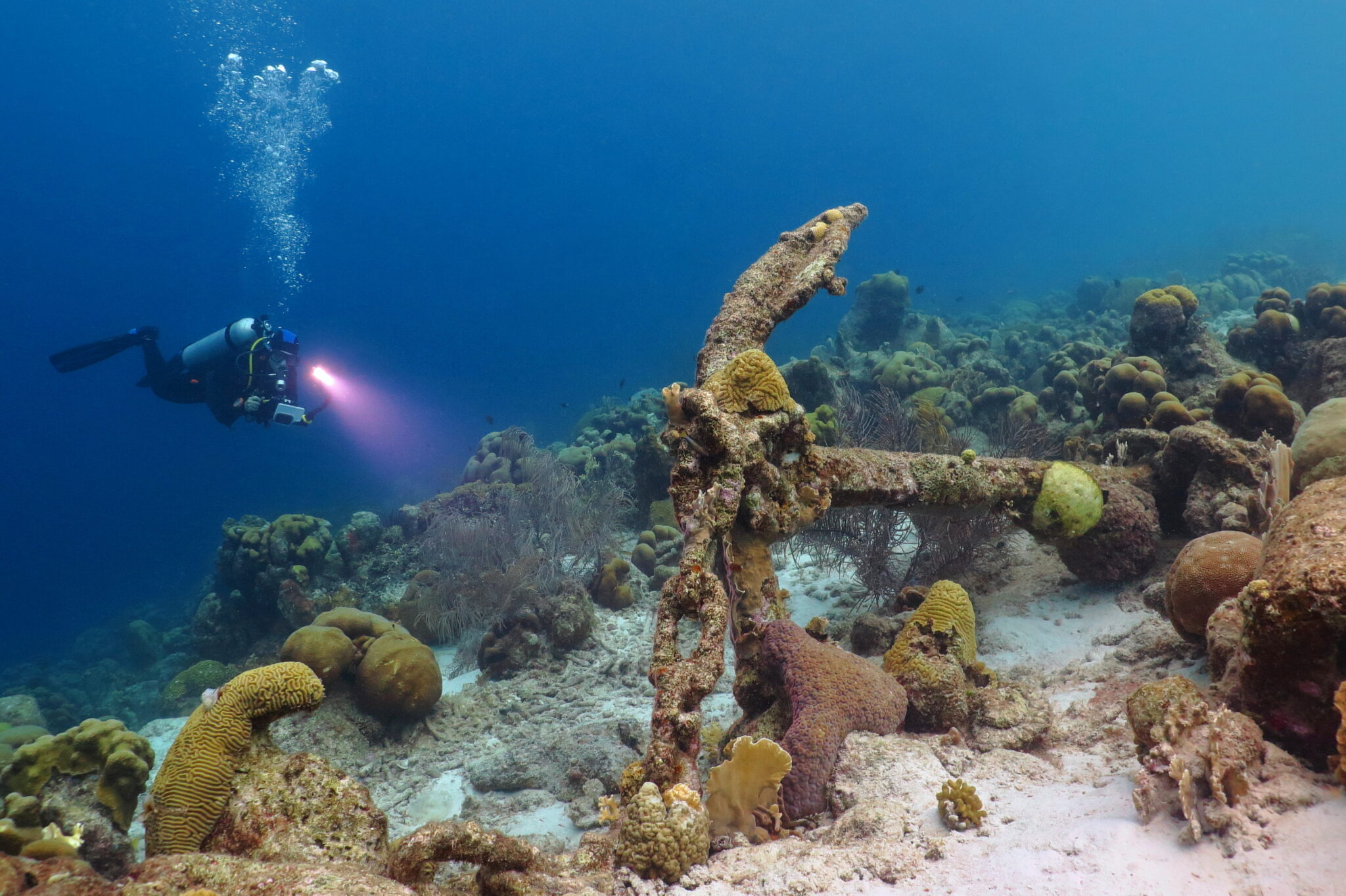 wreck diving in Mexico