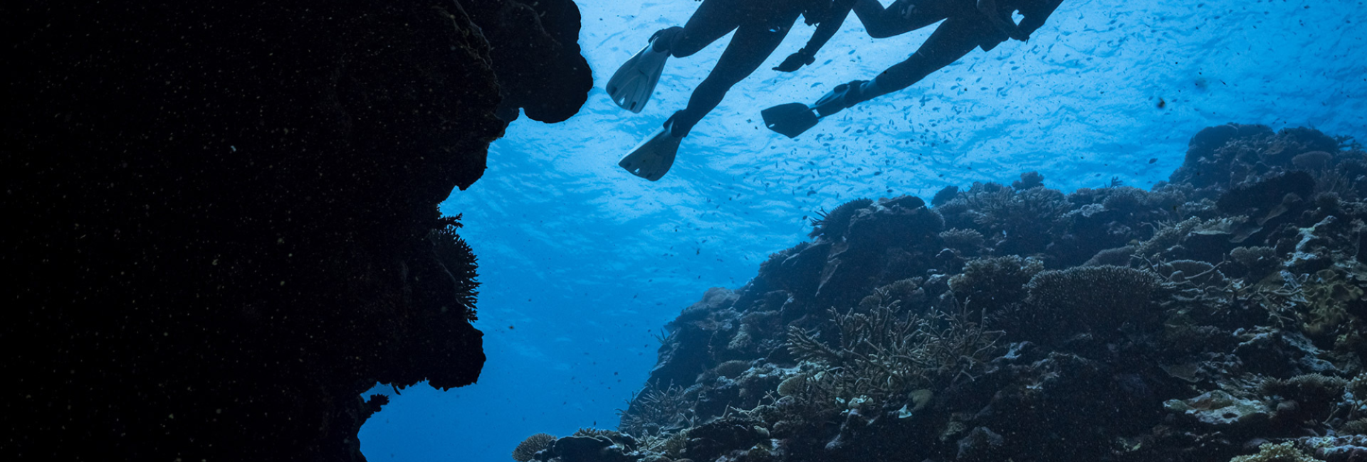 Top 8 Dive Sites in the Gili Islands, Indonesia
