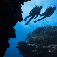 Two scuba divers exploring different underwater structures and reef