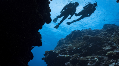 Two scuba divers exploring different underwater structures and reef