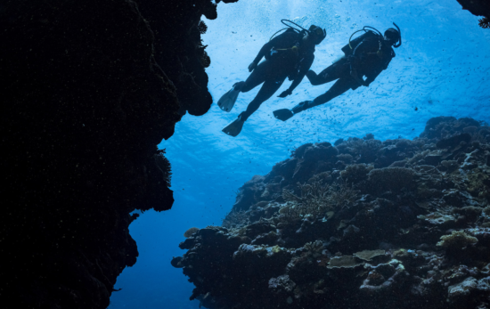 Two scuba divers exploring different underwater structures and reef