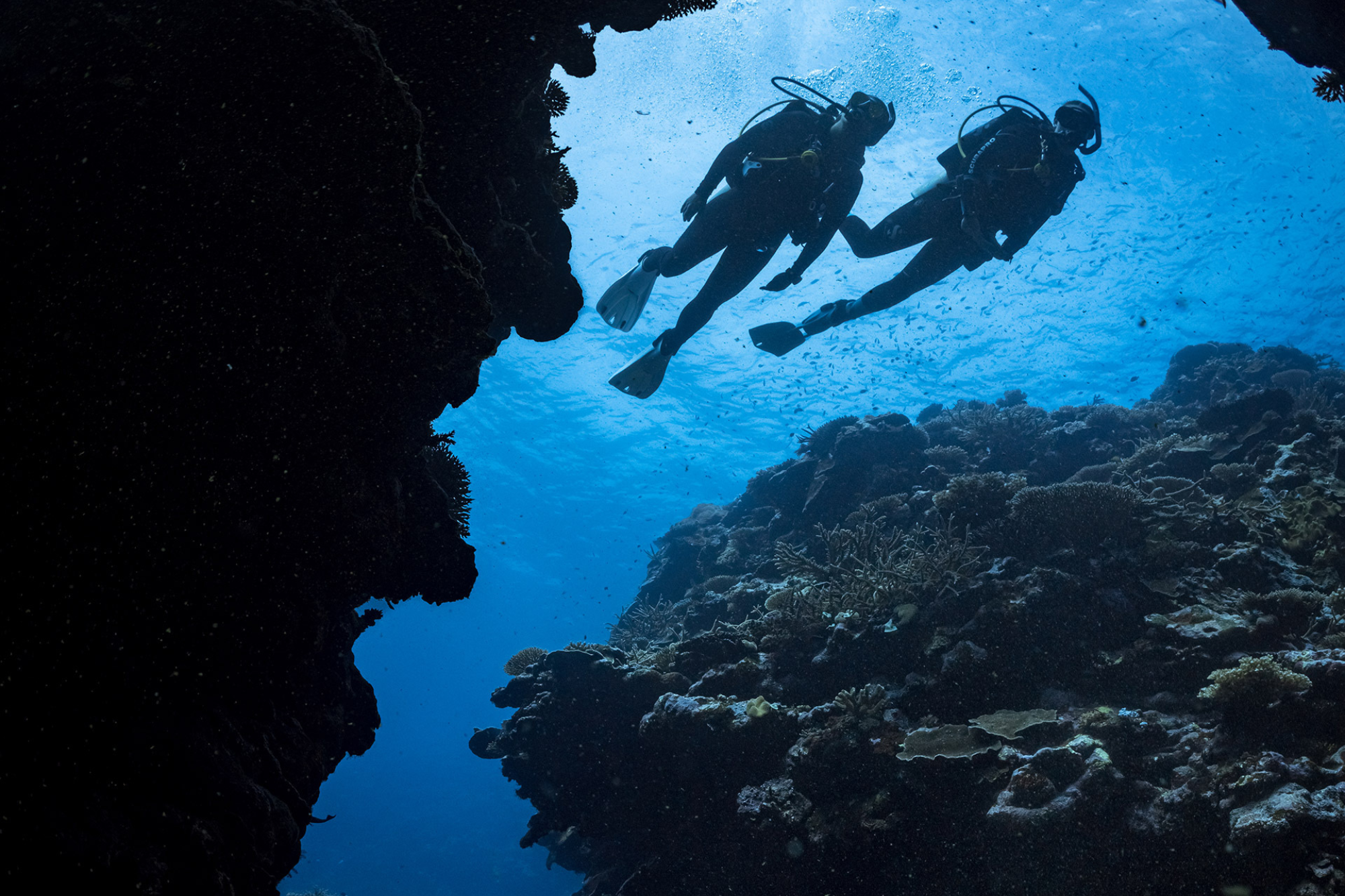 Two scuba divers exploring the underwater world