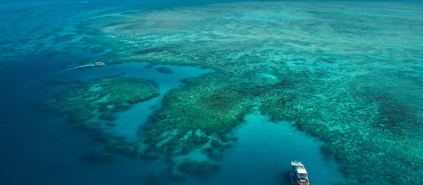 Cairns Premier Great Barrier Reef & Island Tours Working with Volvo Penta