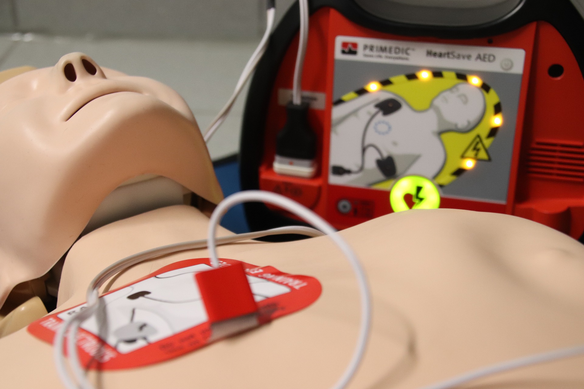 aed and cpr dummy bls certificate