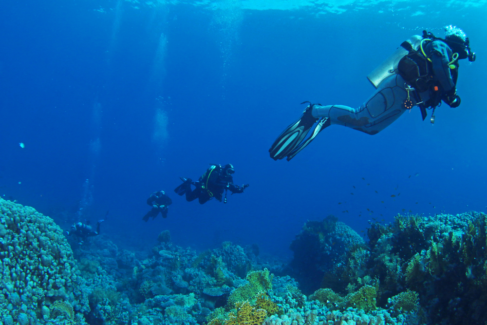 A divemaster leads a line of divers underwater