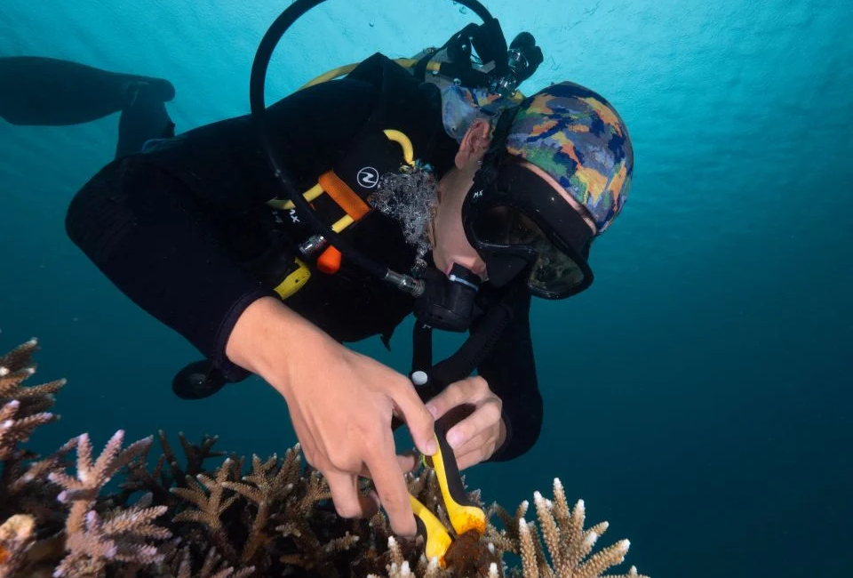 PADI Diver Andrew Charlton Represents Indonesia at the Antarctic Climate Expedition 2023