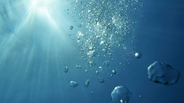 bubbles rising to the surface of the ocean