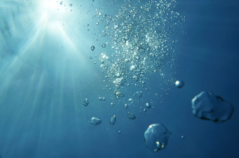 best scuba diving portraits sunlight through bubbles rising in water